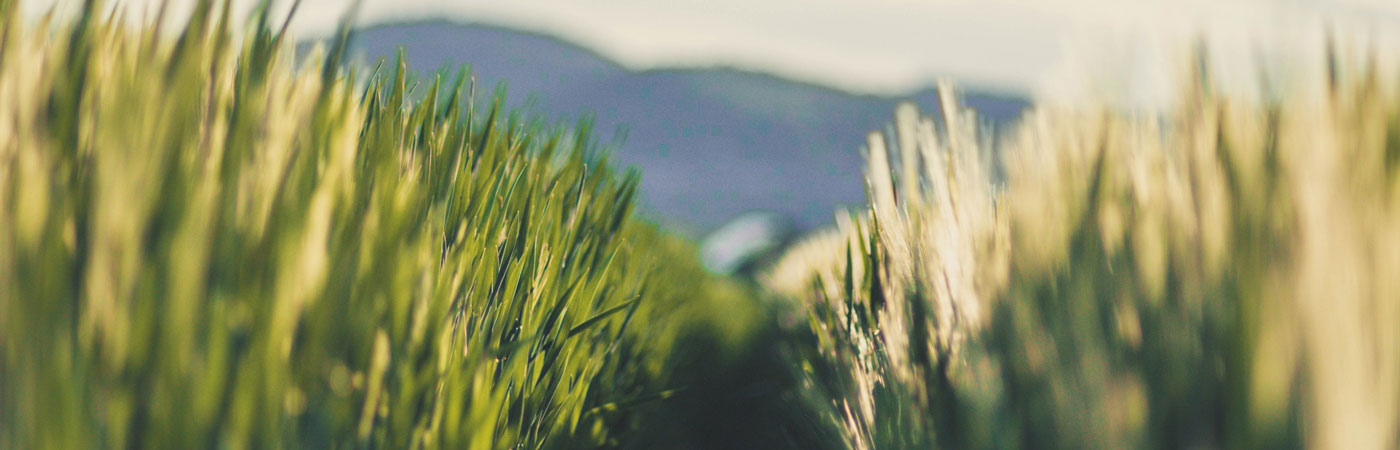 esm-header esm-header